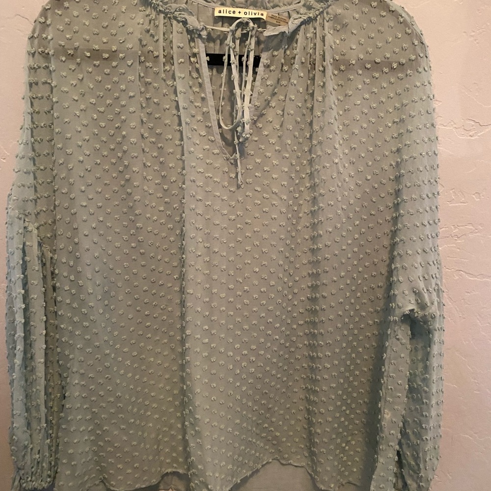 Robins Egg Blue Alice and Olivia Blouse